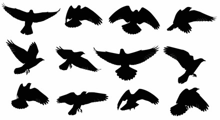 Flying Birds Silhouette Set