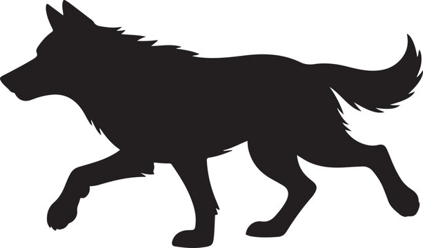 Black wolf silhouette walking with alert ears and bushy tail animal