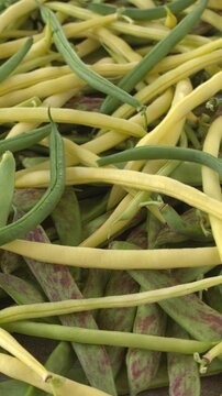 Freshly harvested different varieties of green beans from an organic garden. Background texture. Table spin. Vertical video.