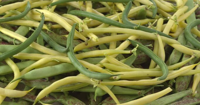 Freshly harvested different varieties of green beans from an organic garden. Background texture. Table spin. 