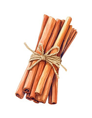 Watercolor illustration of a bundle with cinnamon sticks on white background