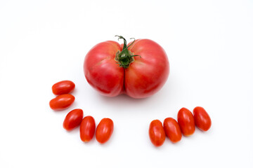 Riesige rote Tomate mit lustiger Form auf weißem Untergrund gruppiert mit kleinen Datteltomaten, von oben