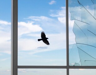 Obraz premium Silhouette of Flying Bird Through Broken Glass Window with Bright Blue Sky