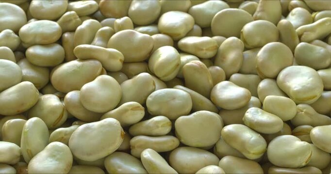 Fresh, shelled fava beans (Vicia faba) with a second skin. Background texture with rotation around the center point. Selective focus. 