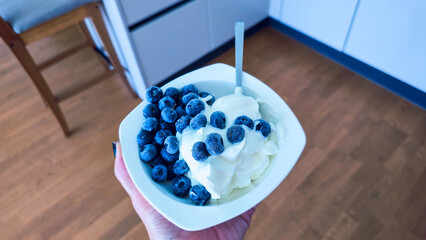 Keto Yogurt and Blueberries