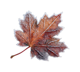 Frost-covered maple leaf nature cold environment isolated on transparent background, png