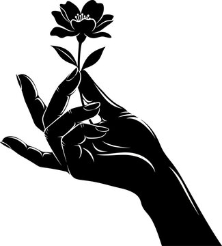 Elegant Black and White Hand Holding Flower Illustration Floral Design Concept Art Beauty Grace