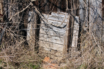 An old, rough wooden crate stands abandoned in overgrown grass and wild vines, possibly field bindweed convolvulus arvensis, beside a dark weathered wooden fence