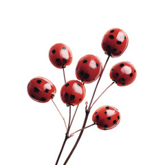 Naklejka premium Cluster of red berries with black spots