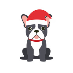 Cute French Bulldog Dog Wearing a Christmas Santa Hat Isolated on a Transparent Background 