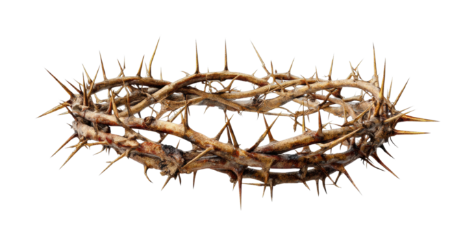 Passion symbolizing suffering thorn crown artistic isolated on transparent background, png