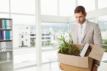 Senior man in business attire holding box with potted plant and binders in office by windows