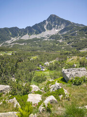 Pirin Mountain near Popovo Lake, Bulgaria