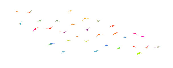 Flying colored birds silhouettes on white background. Vector illustration. isolated bird flying. tattoo design.