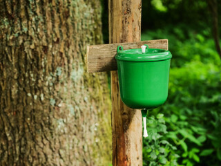 Green old Russian style lavabo attached on a wooden cross with forest trees in the background. Hand operated washing device for manual body and face cleaning operating by pushing up central part.