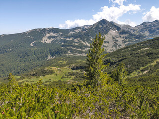 Obraz premium Pirin Mountain near Popovo Lake, Bulgaria