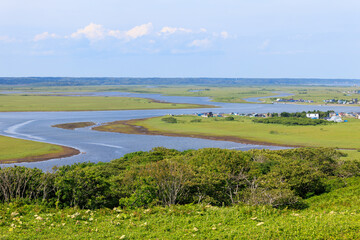 湿原