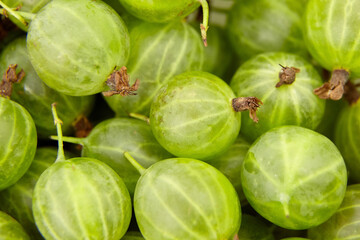 Fresh green gooseberries arranged closely together, showcasing their smooth texture and vibrant color, highlighting the natural beauty of this seasonal fruit