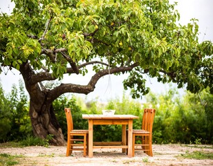 Obraz premium Rustic outdoor dining table beneath a leafy tree