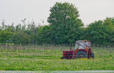 Red Tractor in Green Field with Trees