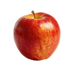 Single, red and yellow apple, studio shot