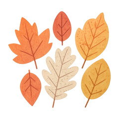 PNG Colorful autumn leaves illustration.