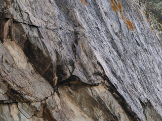 Detailed view of a textured rock face showing natural patterns and rugged surface details.