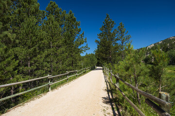 Fototapeta premium George S. Mickelson Trail, South Dakota
