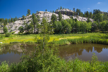 Fototapeta premium Lake in a meadow in the Black Hills of South Dakota
