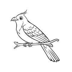 Obraz premium Cartoon Bird Perched on Branch Line Drawing