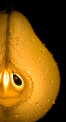 Pear slice with golden translucent center v2