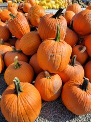Vibrant Autumn Pumpkins Stacked at a Market for Seasonal Display