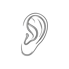 Fototapeta premium Detailed anatomical ear illustration in black outline style, perfect for medical education and scientific research