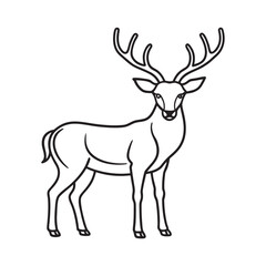 Elegant Standing Stag Deer Animal Line Art Vector Illustration Majestic Forest Creature Silhouette Art