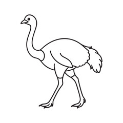 Elegant Ostrich Line Art Illustration A Majestic Bird in Simple Black and White Vector Graphic