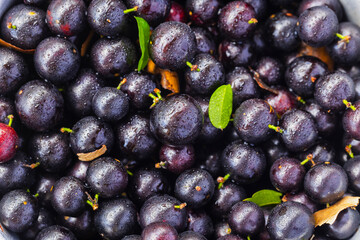 Exotic and delicious Jaboticaba fruits, a fruit of Amazonian origin