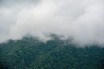 Mist shrouds the rainforest mountains north of Cairns, Queensland, creating a mystical scene where lush green peaks fade into drifting clouds, evoking the wild beauty of the tropical north.