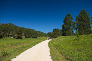 Wooden bridge on the George S. Mickelson Trail, South Dakota