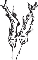 筆絵　鮎の塩焼き

