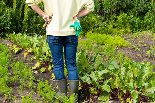 Female gardener tending vibrant vegetable patch with tools and gloves in lush greenery