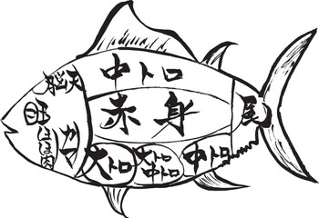 筆絵　魚肉の部位と名称
