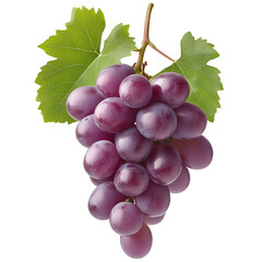 Fototapeta premium Close-up of fresh purple grapes with green leaves on vine isolated on transparent background