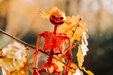 Halloween Skeleton Decoration with Pumpkin Head.halloween background.Skeleton Decoration Hanging on Autumn Tree Branch.
