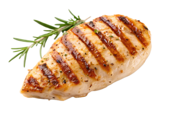Grilled chicken breast with rosemary sprig on a black background close up studio shot delicious food