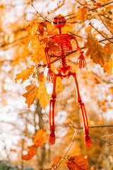 Skeleton Decoration Hanging on Autumn Tree Branch. Halloween atmosphere.Halloween Skeleton Decoration with Pumpkin Head.