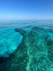 reef in the Florida Keys