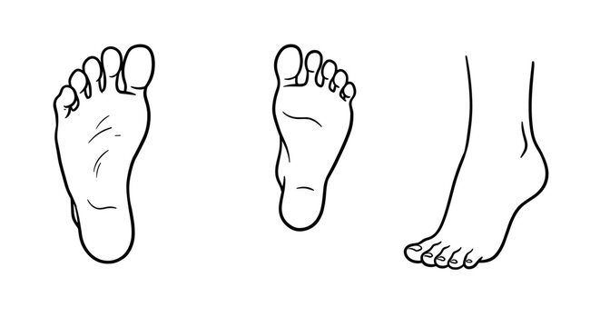 Set of human feet in different positions and views on transparent background