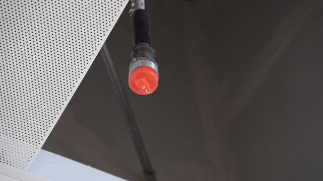 Orange fire sprinkler nozzle mounted on a black pipe under a suspended ceiling. Close-up view with visible perforated ceiling tile.