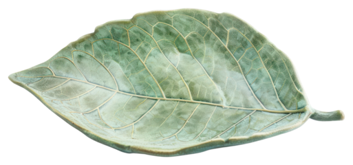 PNG Leaf-shaped ceramic serving dish