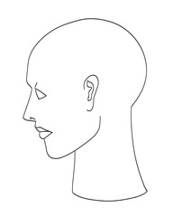 Side view of human face drawing line illustration on transparent background. Template for banner, poster, etc.